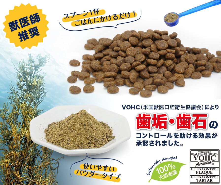 市場 ライトハウス 40g 犬用 パウダー プロデンデンタルケア